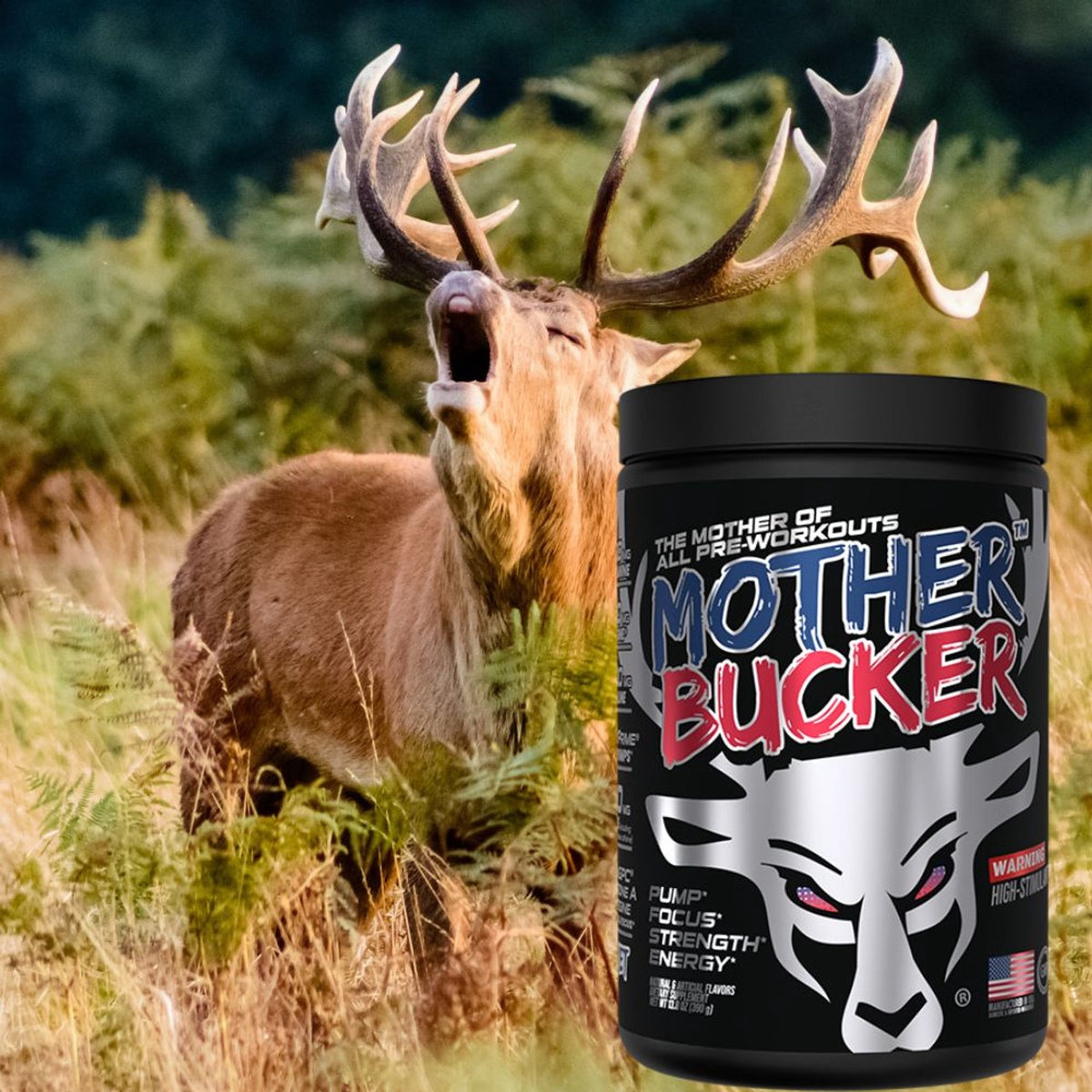 MOTHER BUCKER / DAS LABS MIAMI