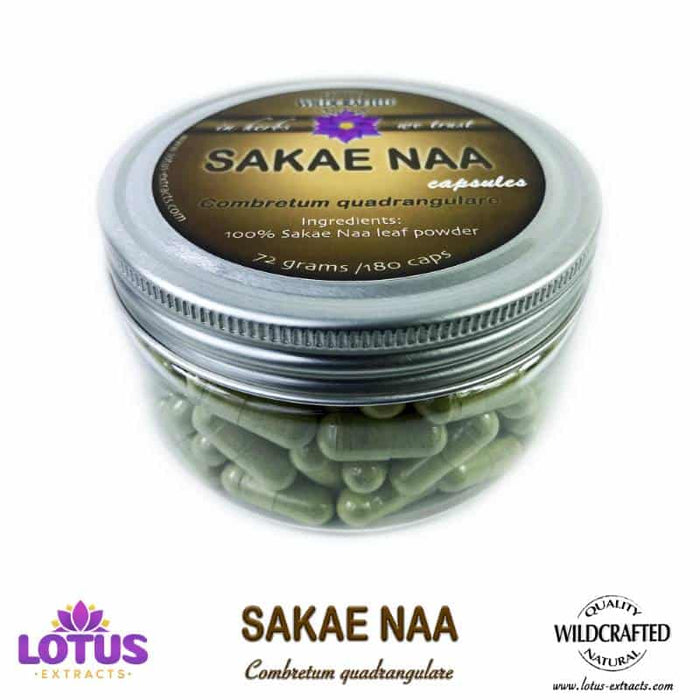 SAKAE NAA 70ct
